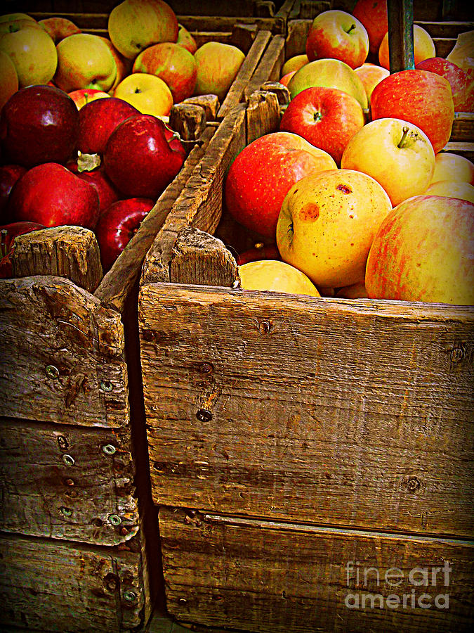 Red and Yellow Apples in Wood Bin Photograph by Miriam Danar