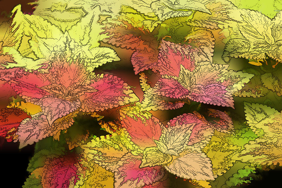 Red and Yellow Artistic Foliage Photograph by Linda Phelps