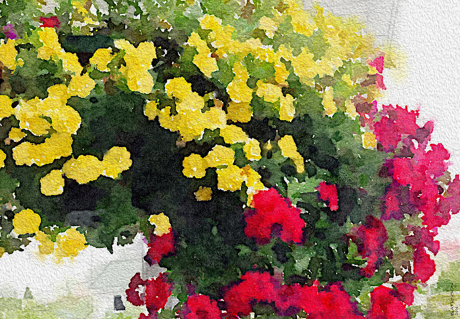 Nature Painting - Red and Yellow Flowers by Bob Atkinson
