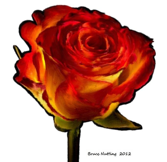 Red and Yellow Rose Painting by Bruce Nutting