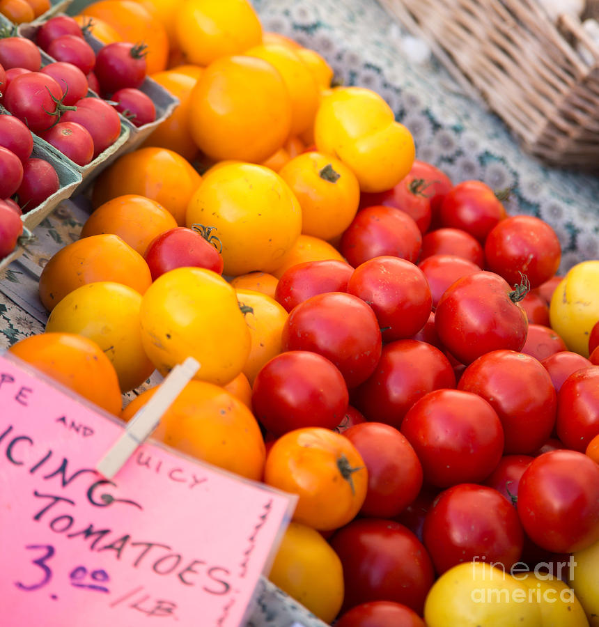 Red and Yellow Tomatoes Closeup Photograph by Rebecca Cozart