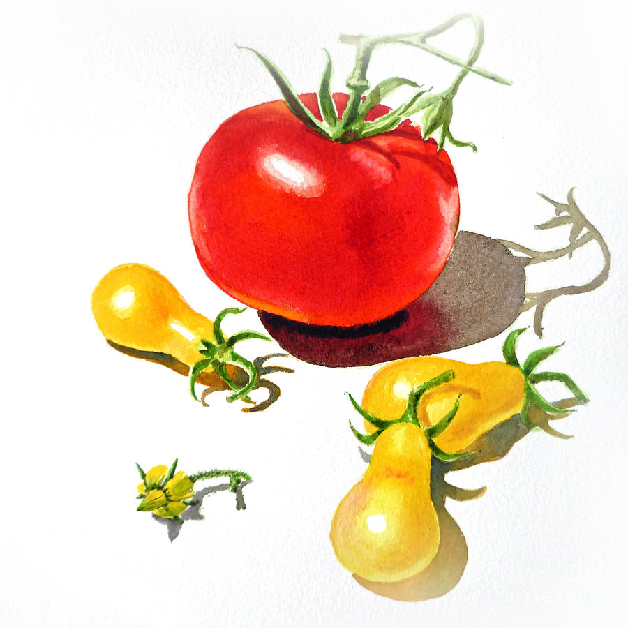 Vegetable Painting - Red And Yellow Tomatoes by Irina Sztukowski