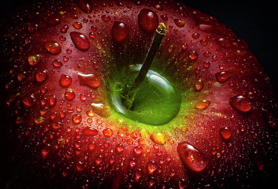 Still Life Photograph - Red Apple by Aida Ianeva