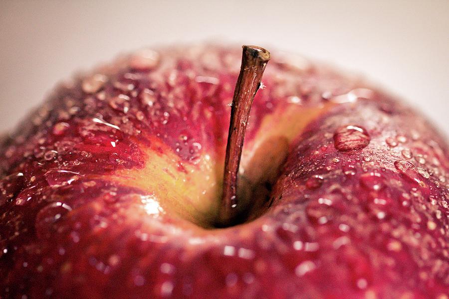 Red Apple Photograph by Lacaosa