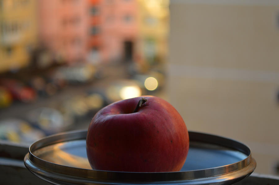 Antique Photograph - Red apple on a tray by Adrian Bud Antique Photograph - Red apple on a tray by Adrian Bud