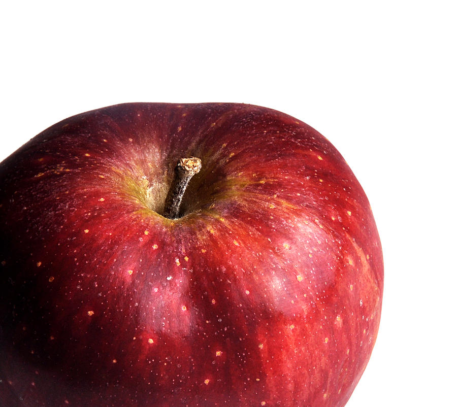Apple Photograph - Red Apple on White 1 by Rebecca Brittain