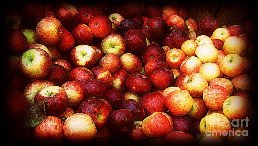 Red Apples in Wooden Bin Photograph by Miriam Danar