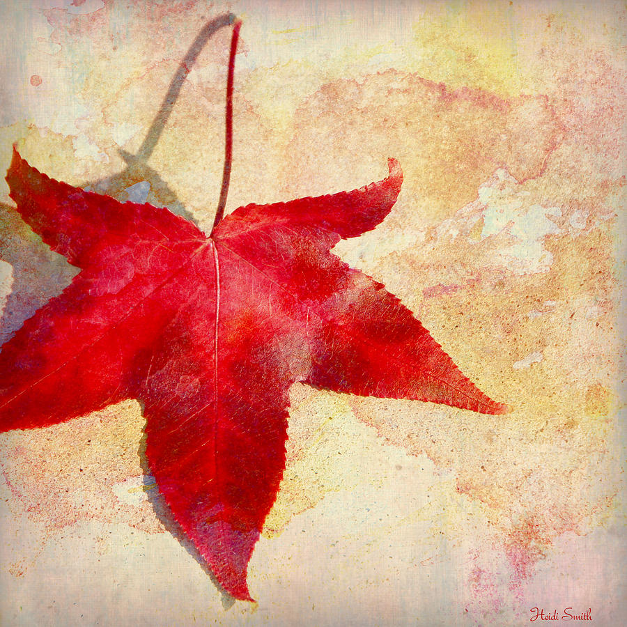 Red Autumn Photograph by Heidi Smith