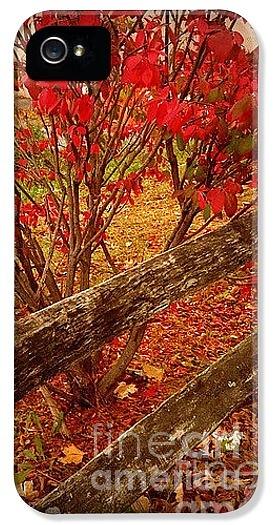 Red Autumn Leaves and Fence - iPhone Case Photograph by Miriam Danar