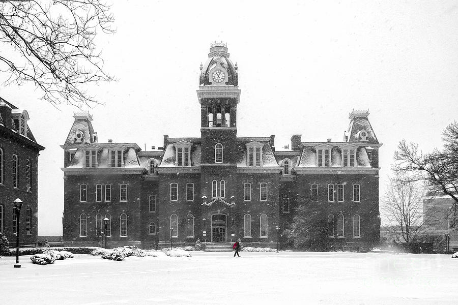 Red backpack in snow storm Woodburn Hall Photograph by Dan Friend