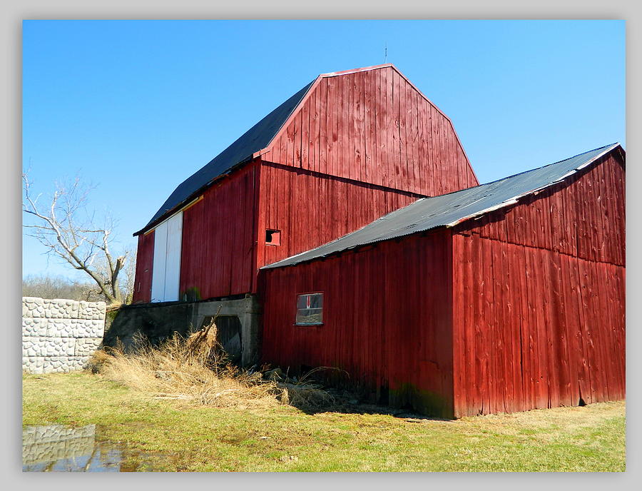 Red Bank Barn in Late Fall Photograph by Kathy Barney