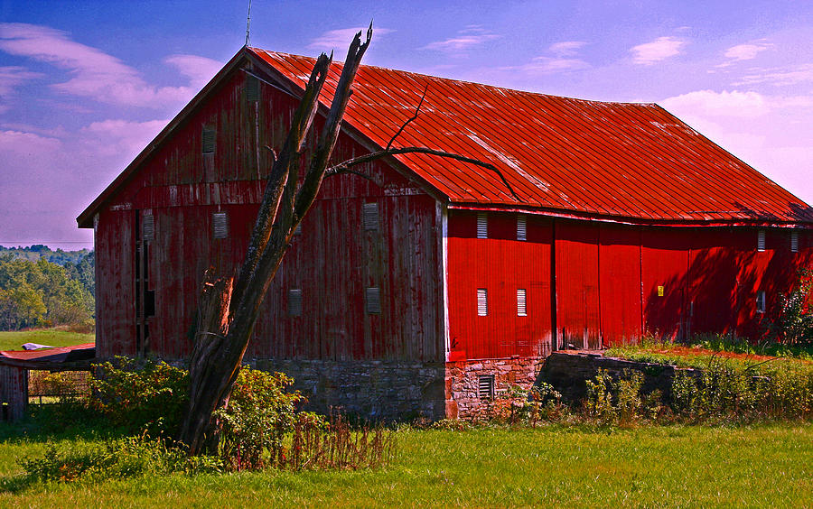 Red Roof Barn Photograph by Andy Lawless