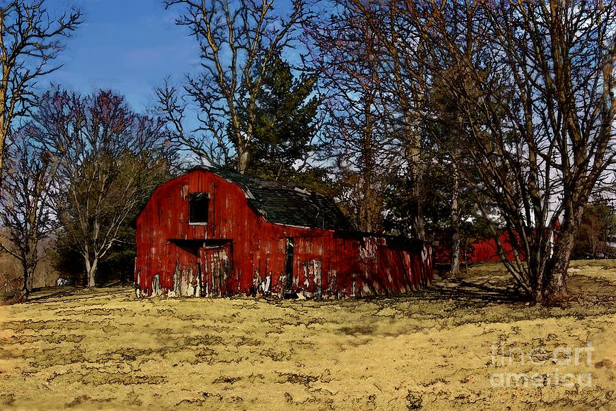 Red Barn Amongst Trees Photograph by Tom Griffithe