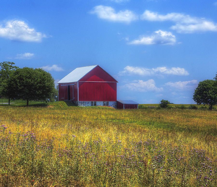 List 99+ Pictures the barn at blue sky farm photos Excellent