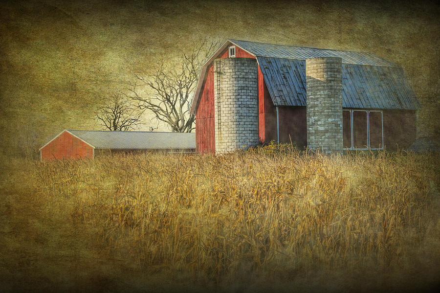 Red Barn and Corn Field Photograph by Randall Nyhof