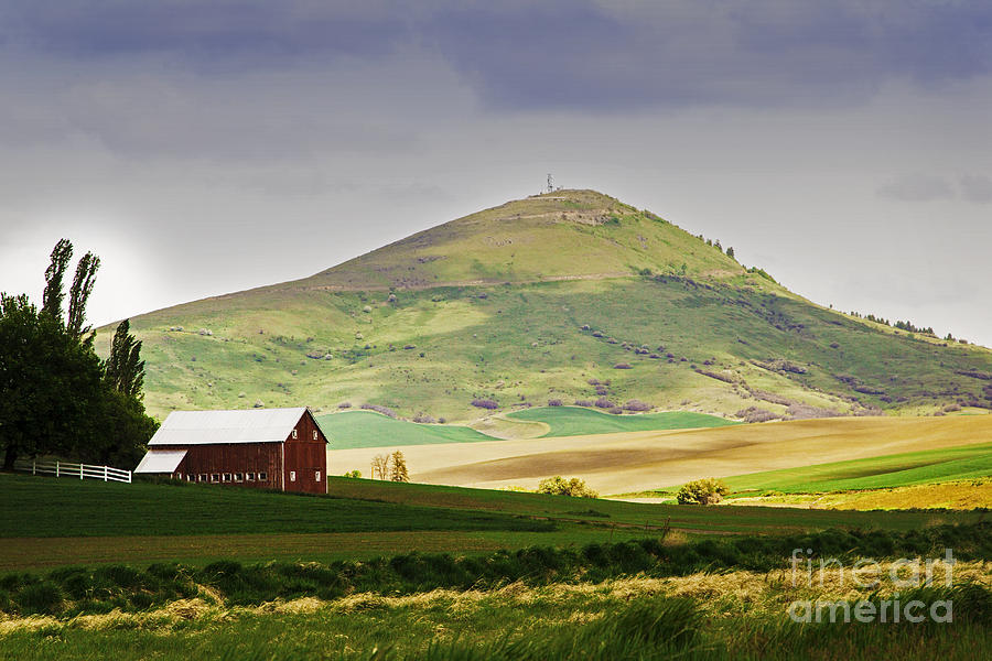 Red Barn and Steptoe Butte Photograph by Sonya Lang