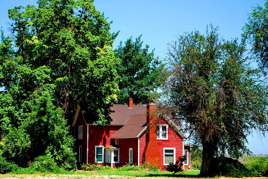 Tree Photograph - Red Barn and Trees by Matt Quest