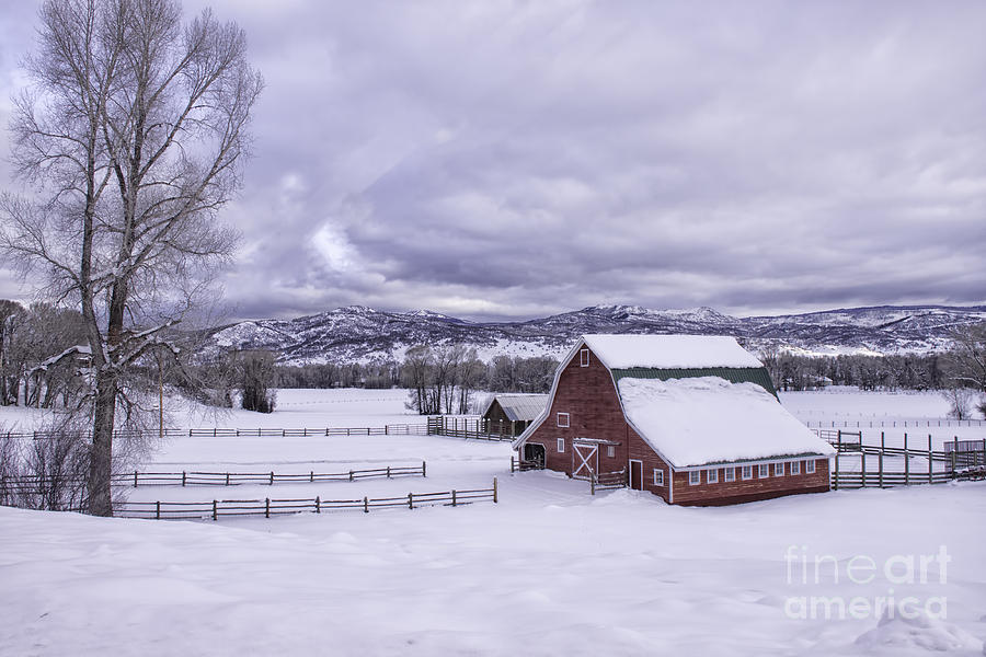 Red Barn at Lamb Ranch Photograph by Kristal Kraft