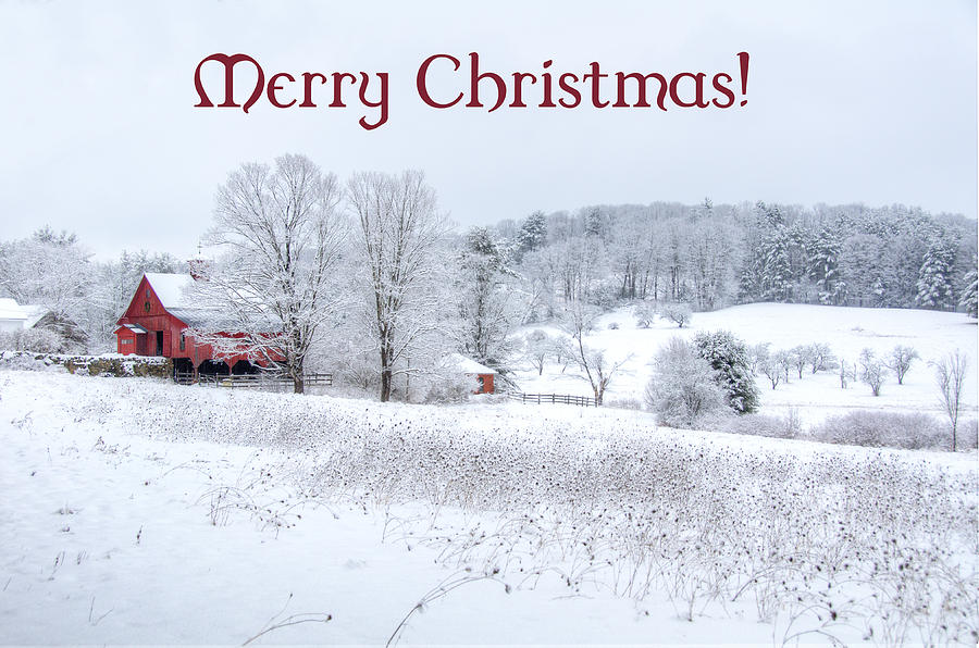 Red Barn Christmas Card Photograph by Donna Doherty