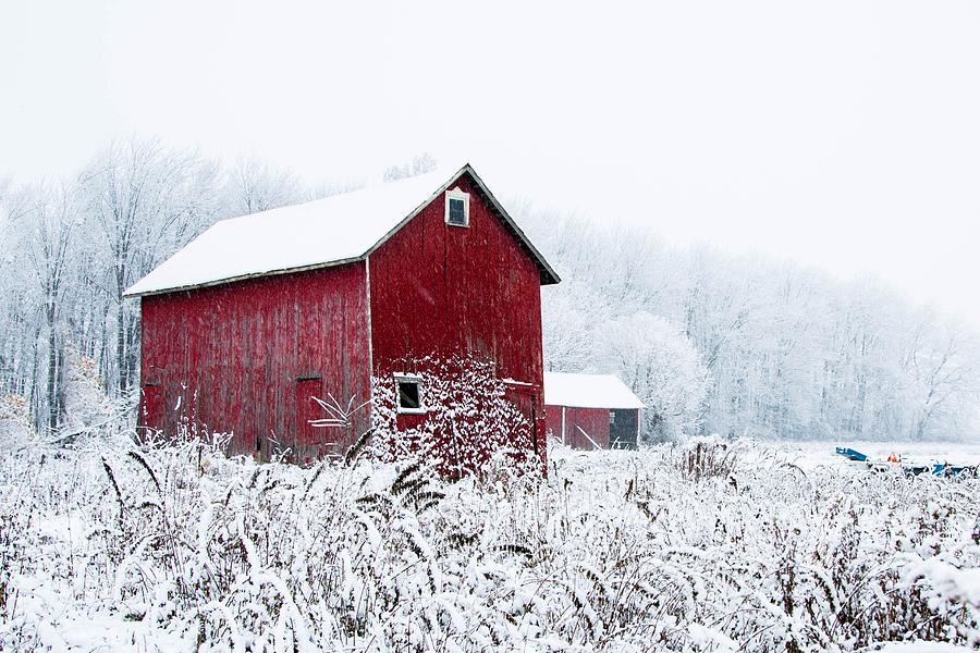 Winter Photograph - Red Barn by Diana Klamut