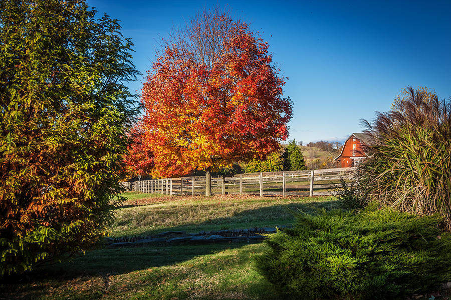 Red Barn Fall Foliage Sussex County New Jersey Painted  Photograph by Rich Franco