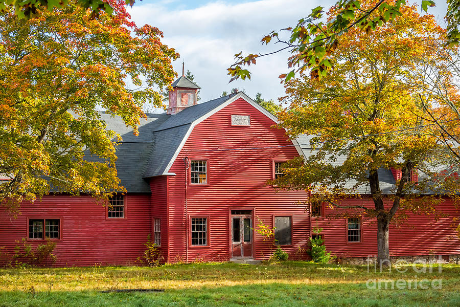 Red Barn Fall Photograph by Susan Cole Kelly