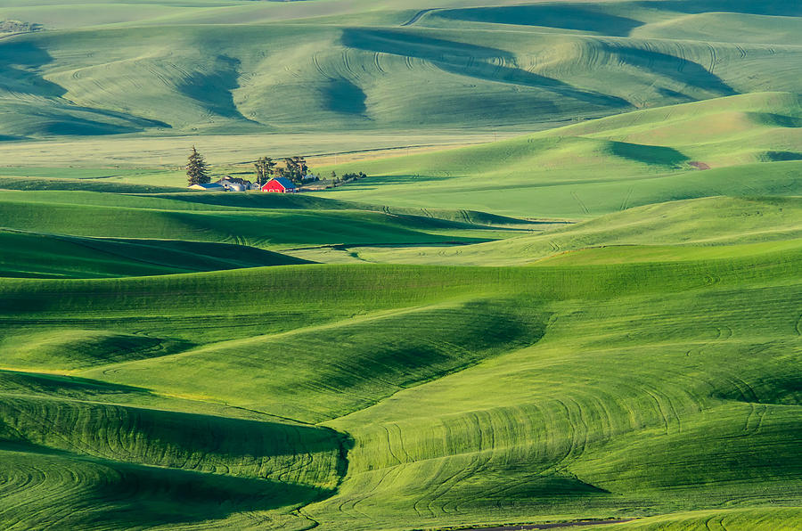 Red Barn from Steptoe Butte Photograph by Gordon Banks - Fine Art America