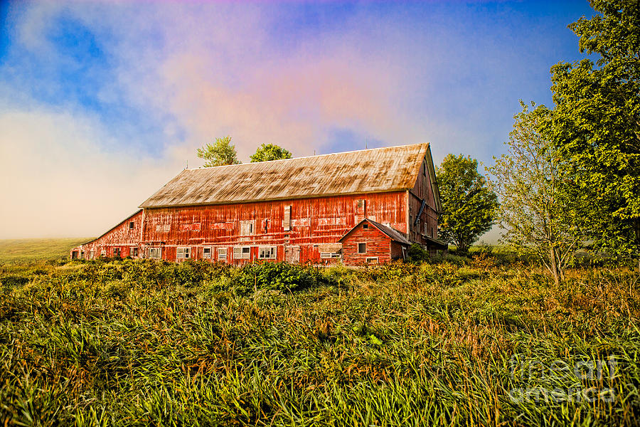 Red barn in a field. Photograph by Don Landwehrle
