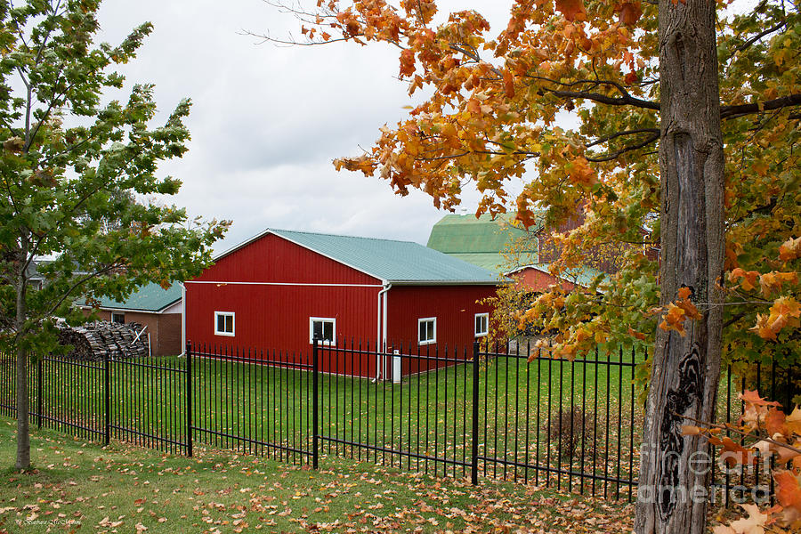 Red Barn in Autumn Photograph by Barbara McMahon