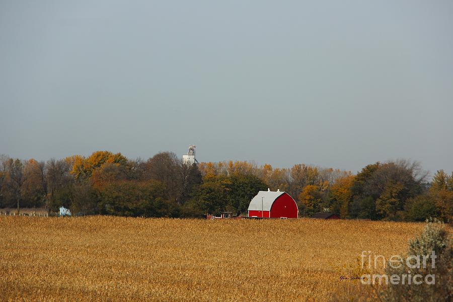 Red Barn in Fall Photograph by Yumi Johnson