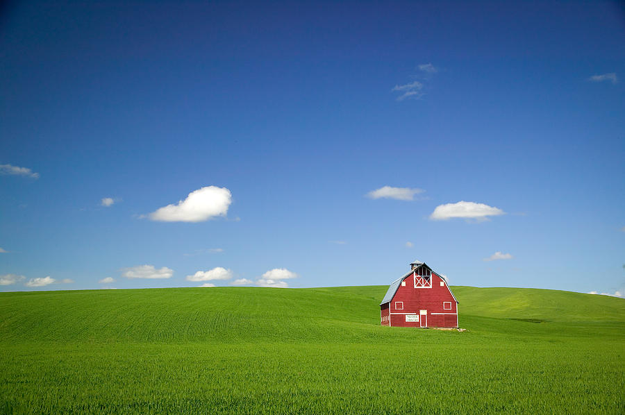 Red Barn in Field Photograph by Randy Green