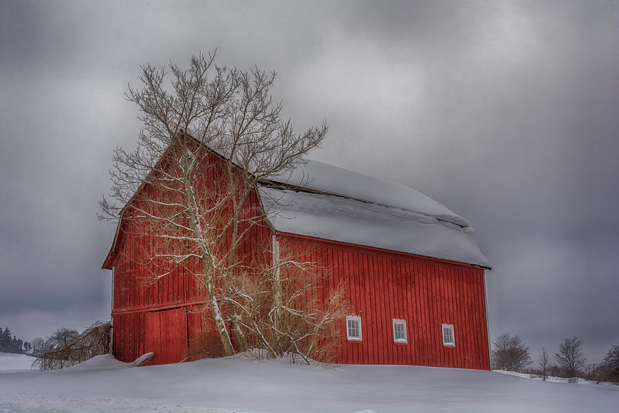 Red Barn in HDR Photograph by Guy Whiteley