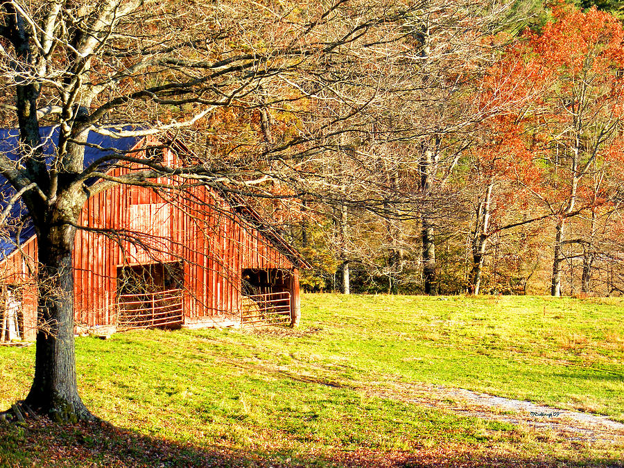 Red Barn in Late Fall Photograph by Duane McCullough