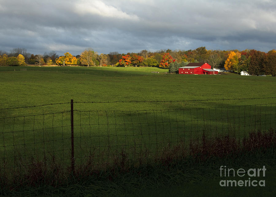 Fall Photograph - Red Barn in Light by Kelly Morrow