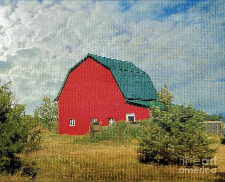 Red Barn in Nebraska Photograph by Janette Boyd