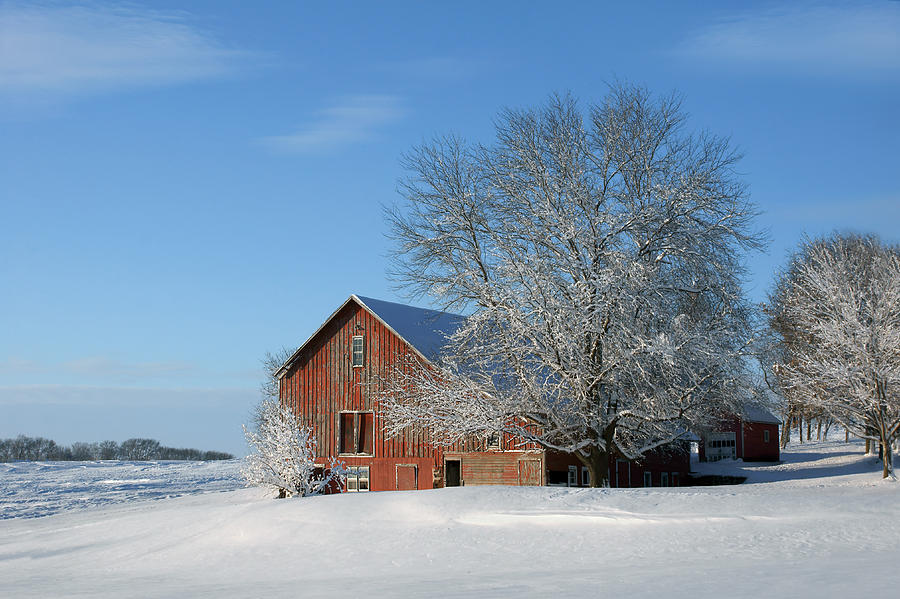 Red Barn in Snow Photograph by Nikolyn McDonald
