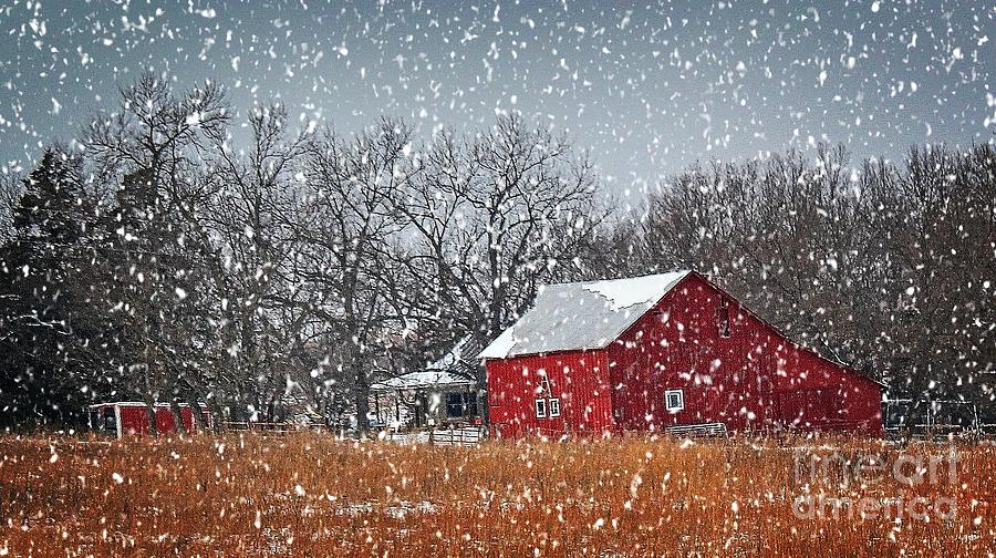 Red Barn In Snow Photograph