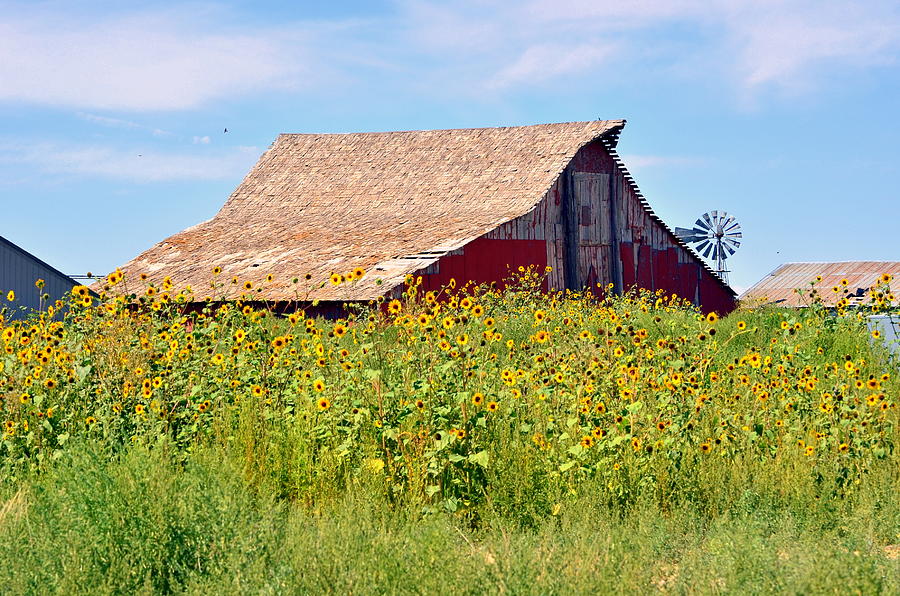 Red Barn In Summer Photograph by Clarice Lakota