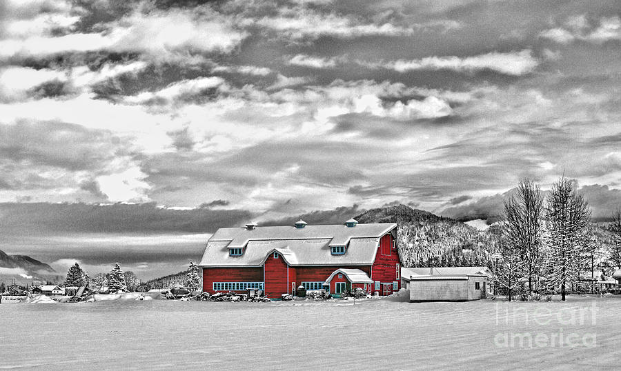 Red Barn In The Bandw Hdrob9106-12 Photograph