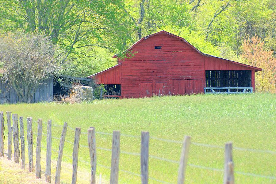 Red Barn in the Meadow Photograph by Bill TALICH
