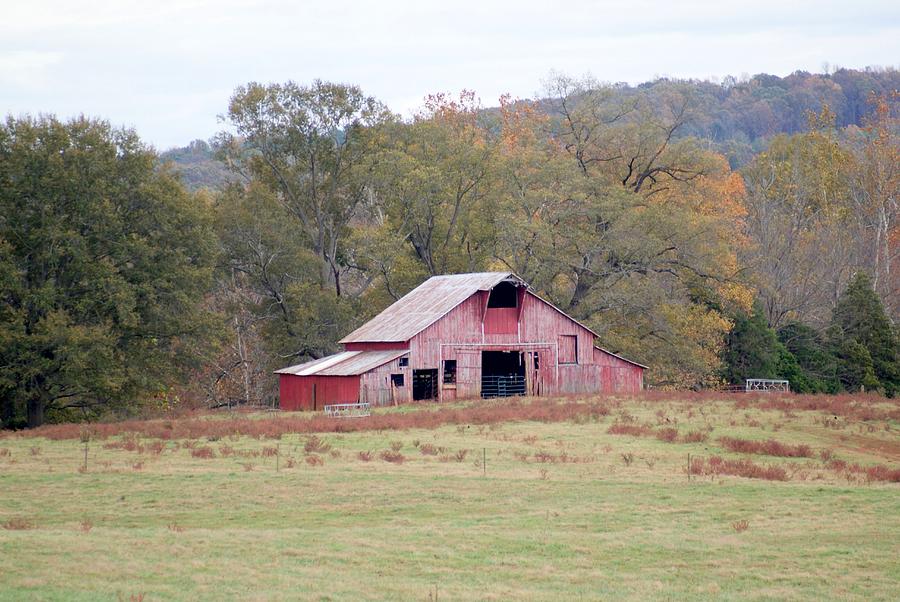 Red Barn in the Pasture Photograph by Bill TALICH
