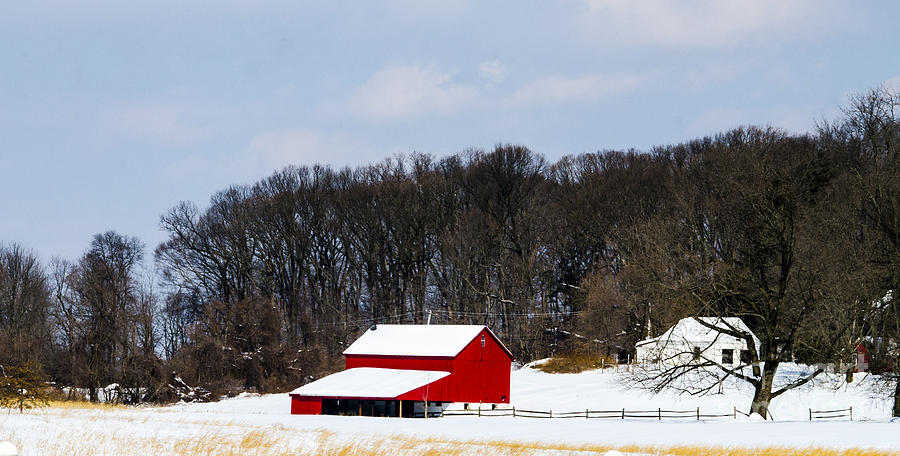 Red Barn In The Snow Photograph by Judy Wolinsky