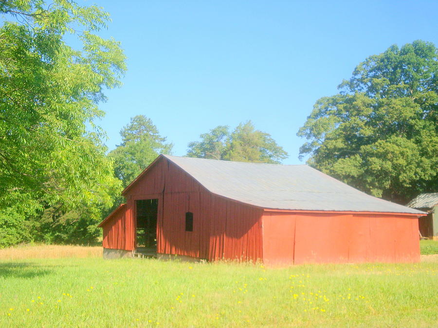 Red Barn in the Sun Photograph by Bill TALICH