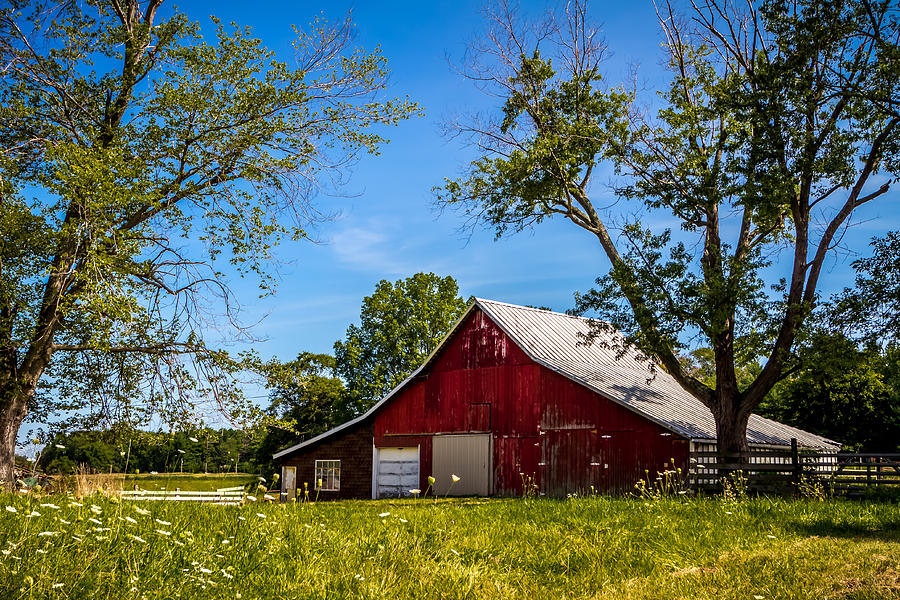 Red Barn in the Trees Photograph by Ron Pate