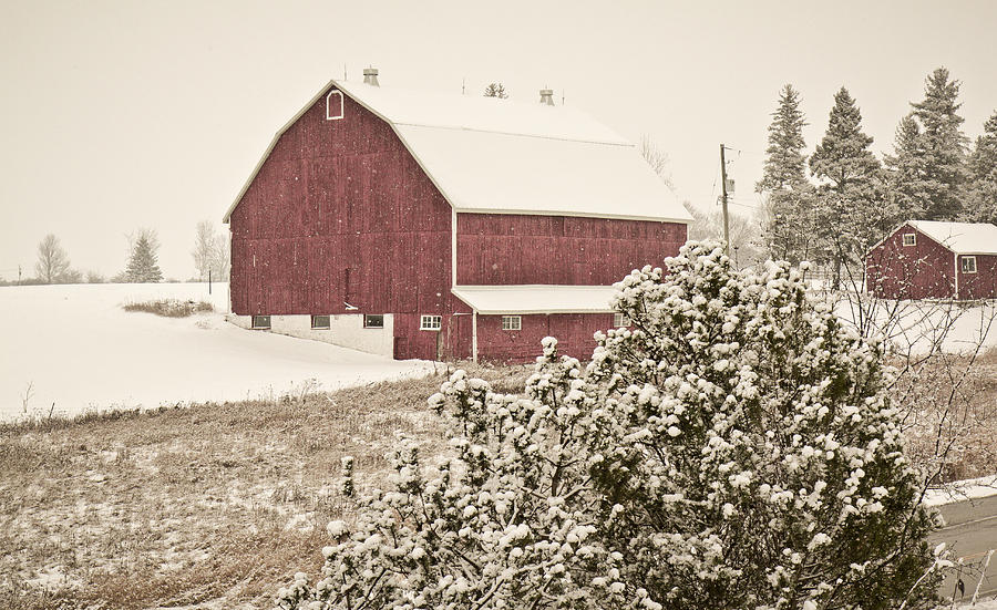 Red barn in the winter Photograph by Nick Mares