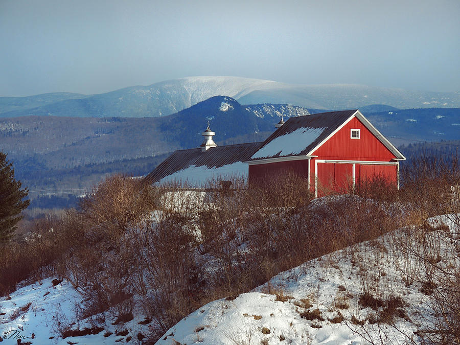 Red Barn in Vermont Winter Photograph by Nancy Griswold