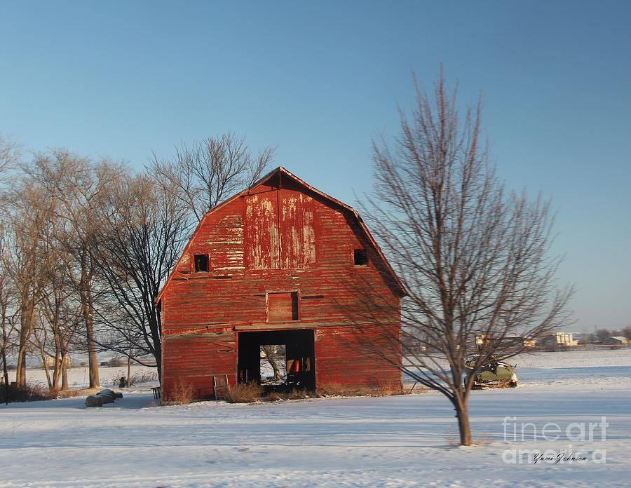 Red barn in winter Photograph by Yumi Johnson