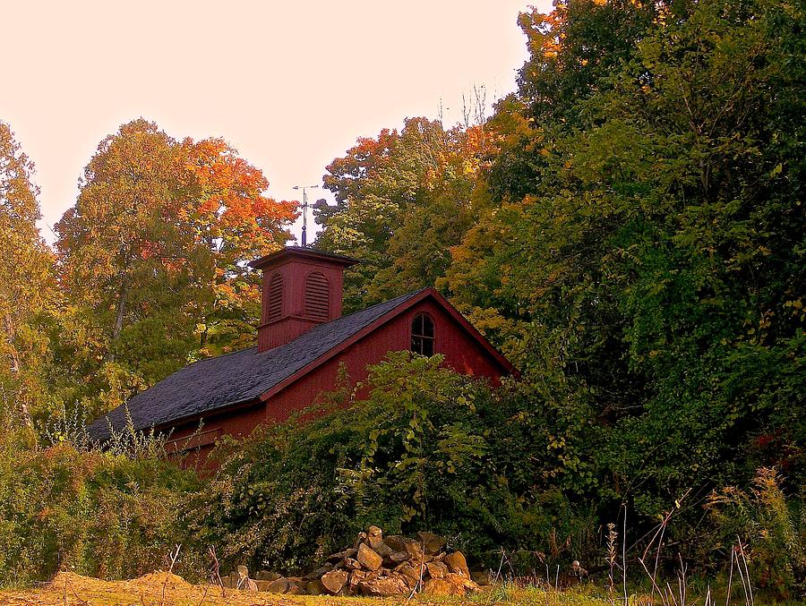 Red Barn in Woods Photograph by Kevin Wheeler