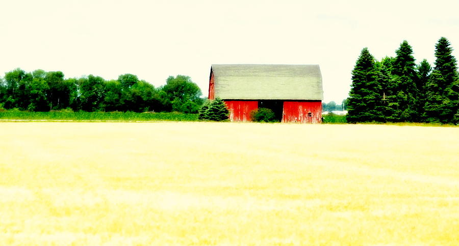 Red Barn  Photograph by Marysue Ryan