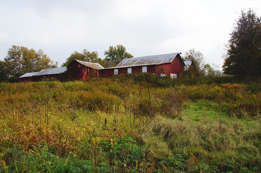 Red Barn Photograph by Mike Murdock